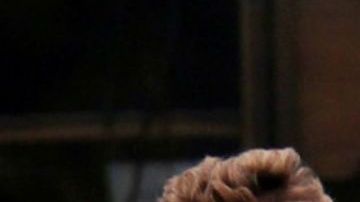 "The edge of democracy"