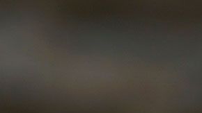 Además de que ganarás un buen dinero, podrás disfrutar de ricos platillos o bebidas.