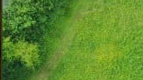 Así recibieron a Trump a su llegada a Londres.