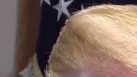 El presidente Trump niega haber atacado sexualmente a Jean Carroll.