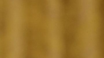 Según Tony Shwartz no solo Ivanka se sentiría de la misma forma sobre Trump