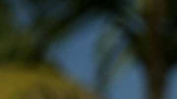 La mayoría de los venezolanos que pide asilo describe una situación de inseguridad e inestabilidad política en su país.