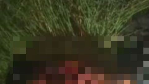 VIDEO: Abaten a dos sicarios tras fuerte balacera y persecución en México