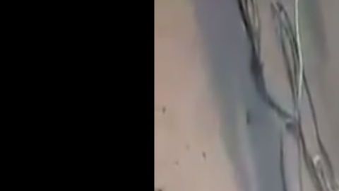 VIDEO: Sicarios del narco le desbaratan cabeza a balazos a un rival en México