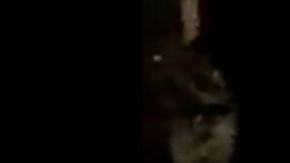 VIDEO: Sicarios del narco le sacan hígado a hombre aún con vida