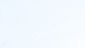 El voto latino será muy influyente en la contienda presidencial.