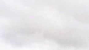 Jeremy Irvine en "War horse"