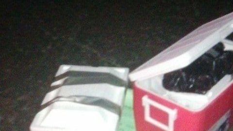 Así abandonaron el cadáver del Z-12