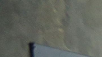 La región Noreste del país es donde más ofertas de empleo hubo en mayo./Mariela Lombard