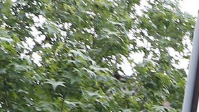 En el Estado Dorado 436,340 familias reciben asistencia en la vivienda, para un total de 936,830 personas beneficiadas.