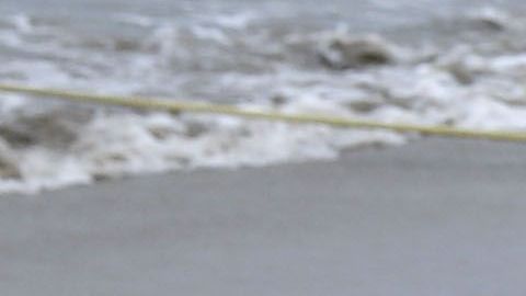 El vibrio es una bacteria que se encuentra comúnmente en el agua cálida y salobre.