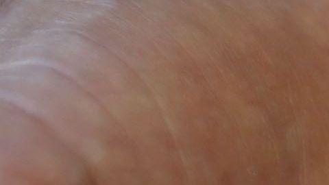 Keegan operó el servicio migratorio fraudulento durante nueve meses de 2017.