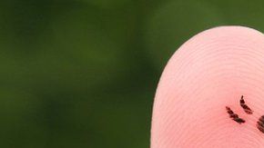 Las peleas sobre dinero a menudo terminan en ruptura...