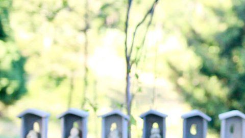 107575306_balino_fullphoto