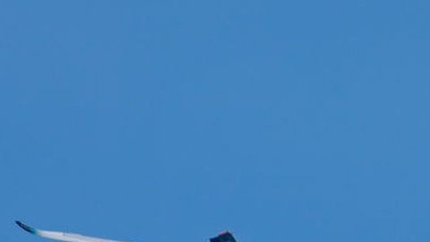 Se estima que al menos el 20% de la población tiene miedo a volar.