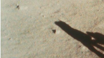 Neil Armstrong y Buzz Aldrin en la Luna en 1969.