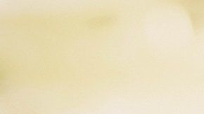 Los árboles pueden ayudar a aliviar el calentamiento global.