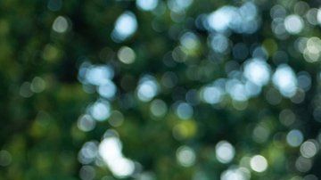 Donald Trump asumió el gobierno de EEUU en enero de 2017.