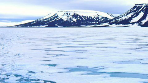 ¿A qué velocidad se derrite el Ártico? ¿Podemos pararlo?