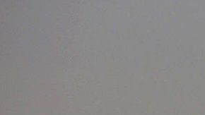 Tisha Rowe dijo que se sintió "vigilada por ser negra" y curvilínea.