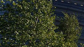 107850777_gettyimages-534093094