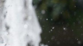 107947934_mediaitem107947932