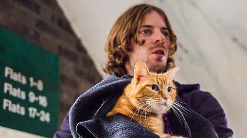 16510630-0-image-a-36_1564090035465