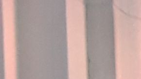 Las calles y aceras de Nueva York están llenas de sorpresas, buenas y malas