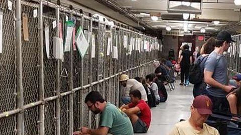 Increíble iniciativa para celebrar el 4 de julio.