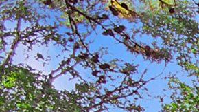 La nueva casa de Donald Trump Jr.