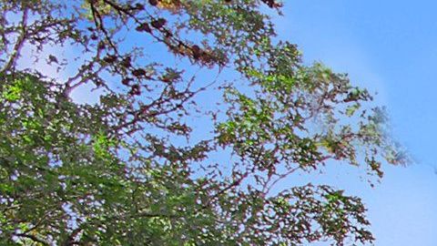 La nueva casa de Donald Trump Jr.