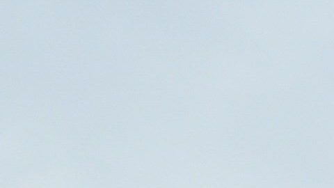 Críticos pasearon el "bebé Trump" antes del discurso en la capital