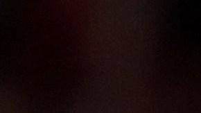 Los aficionados al juego de pelota verán a las mejores novenas de la Liga Nacional y la Americana