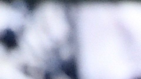 La rivalidad deportiva está dominada por Nadal quien registra 24 triunfos por 15 del suizo