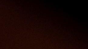 Pelosi subrayó la importancia de proteger a los niños de familias indocumentadas.