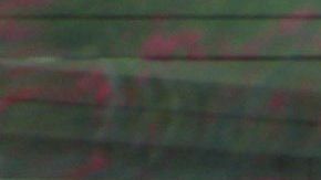 Migrantes deportados colocan sus pertenencias en bolsas, en Matamoros.