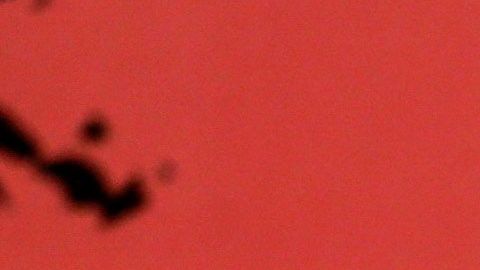 Por primera vez el francés tocó el balón ya enfundado como culé