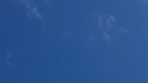 Manifestación frente a La Fortaleza.