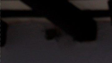 AME6356. SAN JUAN (PUERTO RICO), 14/07/2019.- Manifestantes se reúnen para pedir la renuncia del gobernador Ricardo Roselló, este domingo en San Juan (Puerto Rico). La marcha de protesta se dirigió hasta La Fortaleza, sede del Ejecutivo, para pedir la renuncia del gobernador, salpicado por la polémica desatada tras la publicación del contenido de un chat en el que se organizaron medidas contras críticos del Ejecutivo, en medio de burlas y contenidos homofóbicos, sexistas y misóginos. EFE/ Thais Llorca