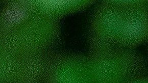 Donald Trump habló de la crisis del gobierno de Rosselló en Puerto Rico.