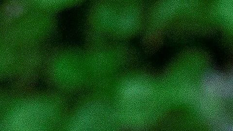 Donald Trump habló de la crisis del gobierno de Rosselló en Puerto Rico.