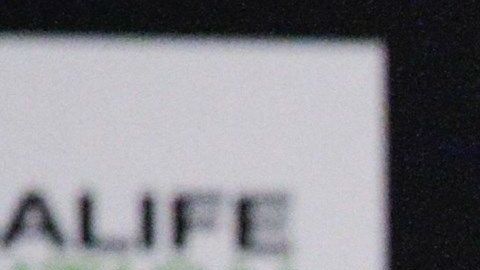 El argentino habló sobre las impresiones que tiene del mexicano después de unas semanas de entrenarlo