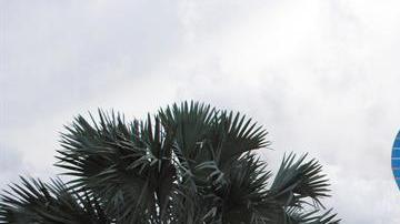 Toda una atracción para el turismo en Florida