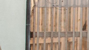 Cruce de peatones enla garita San Ysidro, California