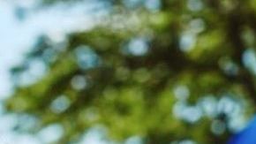 4,7 millones siguen su cuenta personal