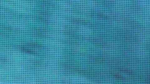 Alejandra Espinoza en Premios Juventud 2019