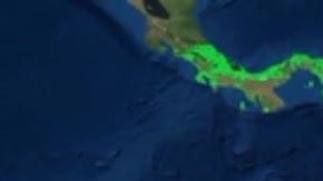 Dos tercios del Amazonas es territorio brasileño.