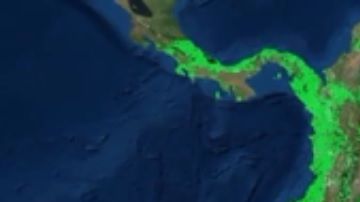 Dos tercios del Amazonas es territorio brasileño.