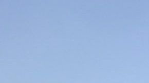 El incidente se presentó el viernes 5 de julio en la Autopista 91 en Anaheim.