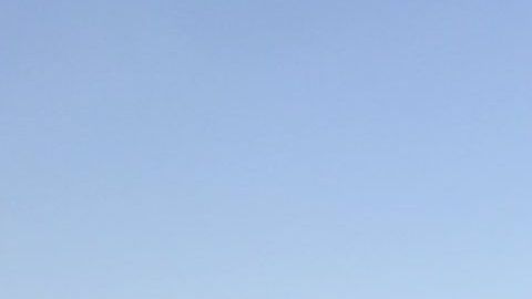 El incidente se presentó el viernes 5 de julio en la Autopista 91 en Anaheim.